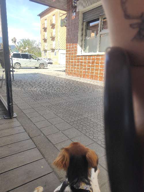 Foto de Cafetería en Friendog