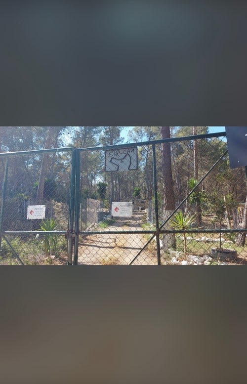 Foto de Protectoras en Friendog