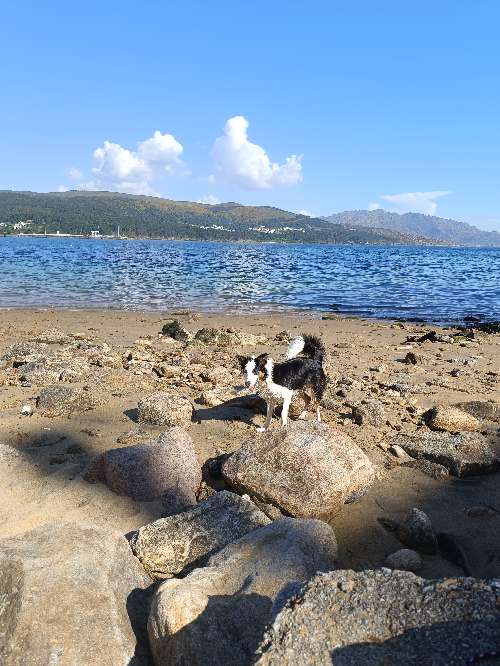 Foto de Playas en Friendog