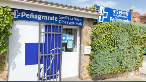 Foto de Veterinarios en Friendog