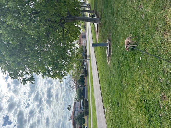 Foto de Parques en Friendog