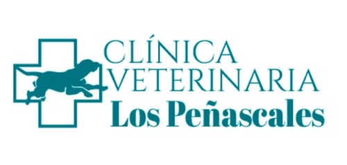 Foto de Veterinarios en Friendog