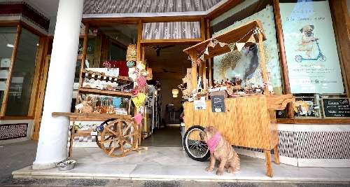 Foto de Tienda de perros en Friendog