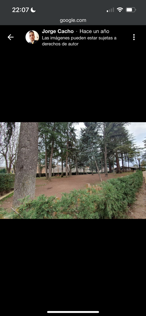 Foto de Pipican en Friendog