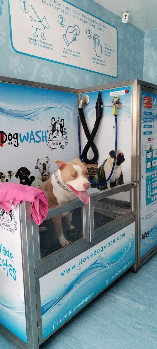 Foto de Autolavados de perros en Friendog