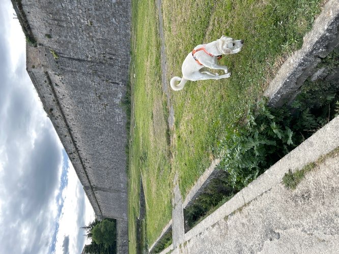 Foto de Parques en Friendog