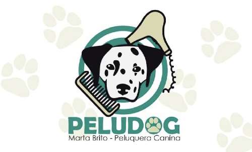 Foto de Peluquerías en Friendog