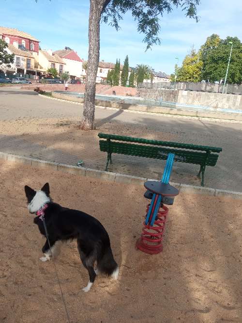 Foto de Parques en Friendog