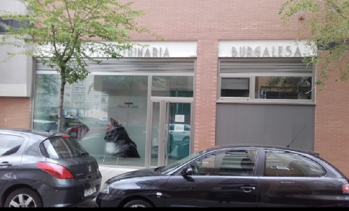 Foto de Veterinarios en Friendog