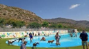 Foto de Guardería canina en Friendog