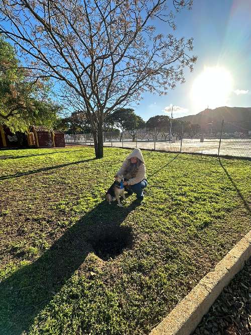 Foto de Parques en Friendog