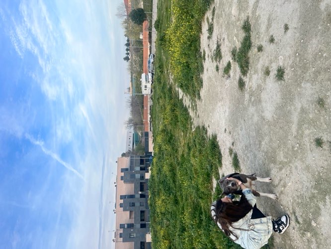 Foto de Parques en Friendog