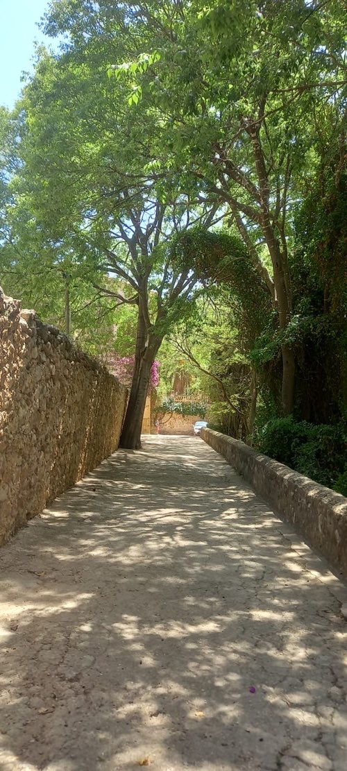 Foto de Parques en Friendog