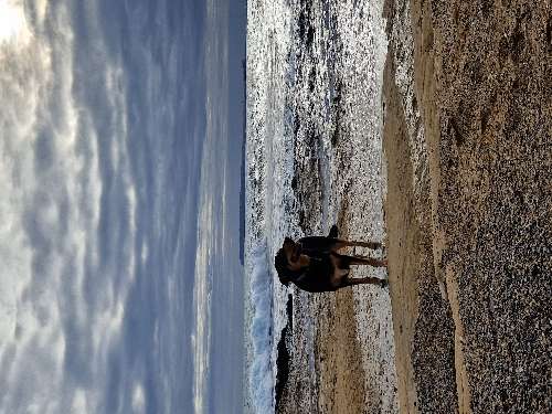 Foto de Playas en Friendog