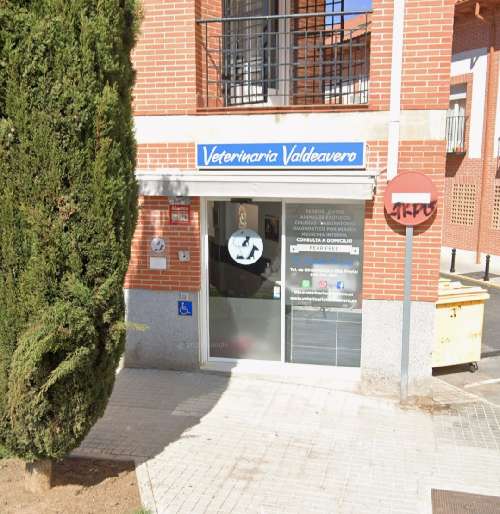 Foto de Veterinarios en Friendog