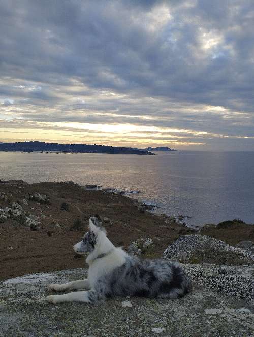 Foto de Rutas en Friendog