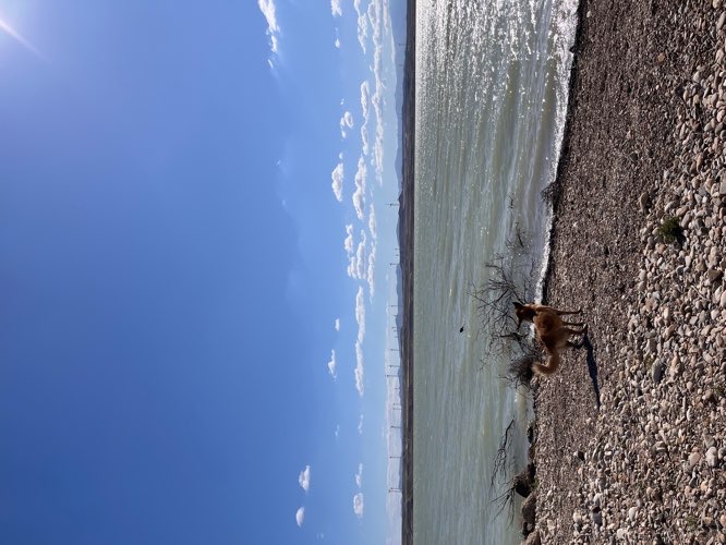 Foto de Piscina en Friendog