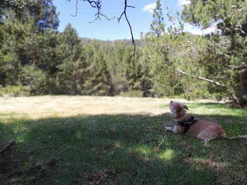 Foto de Rutas en Friendog