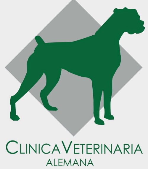 Foto de Veterinarios en Friendog