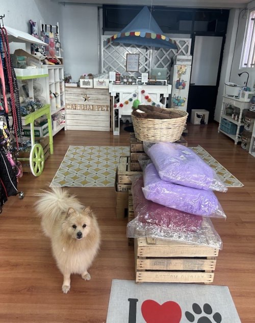 Foto de Tienda de perros en Friendog