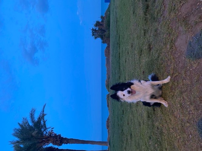 Foto de Parques en Friendog