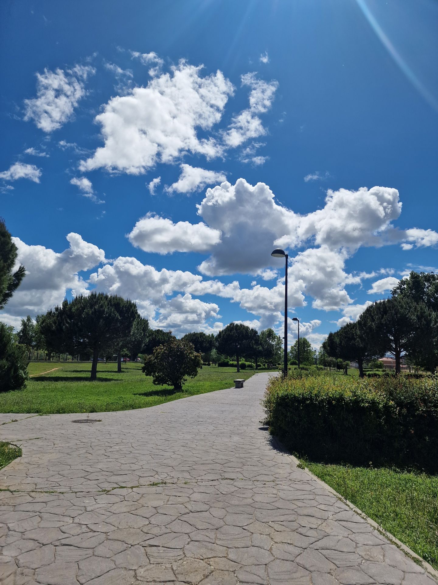Foto de Parques en Friendog