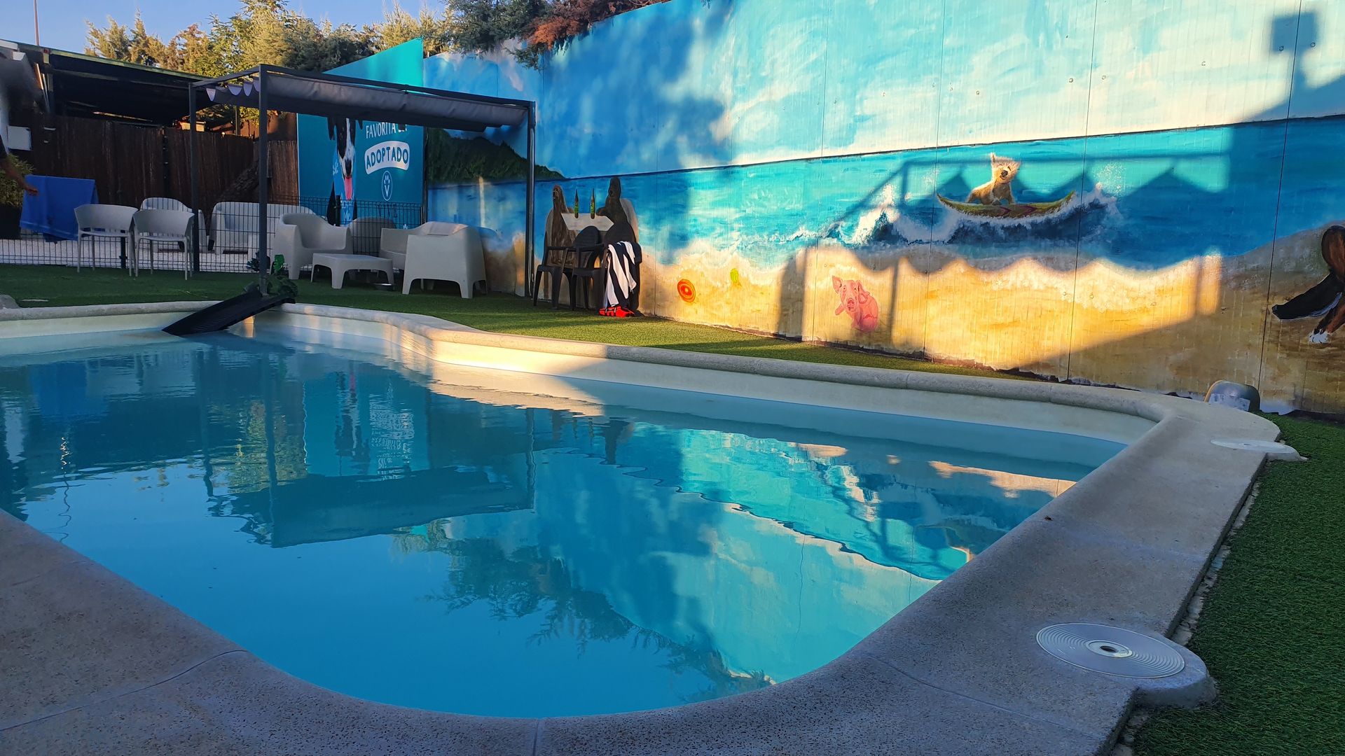 Foto de Piscina en Friendog