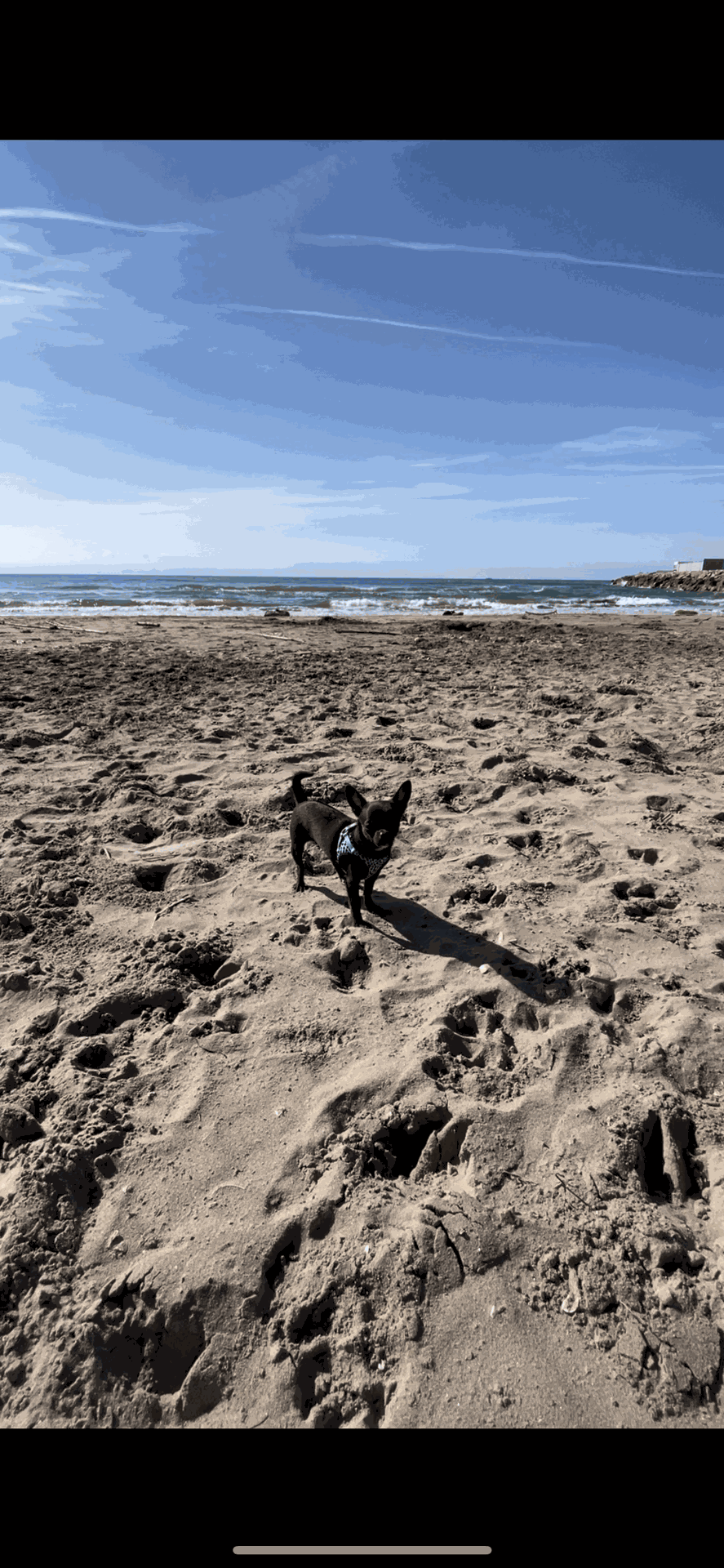Foto de Playas en Friendog