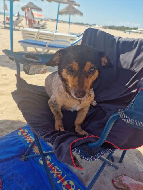 Foto de Playas en Friendog