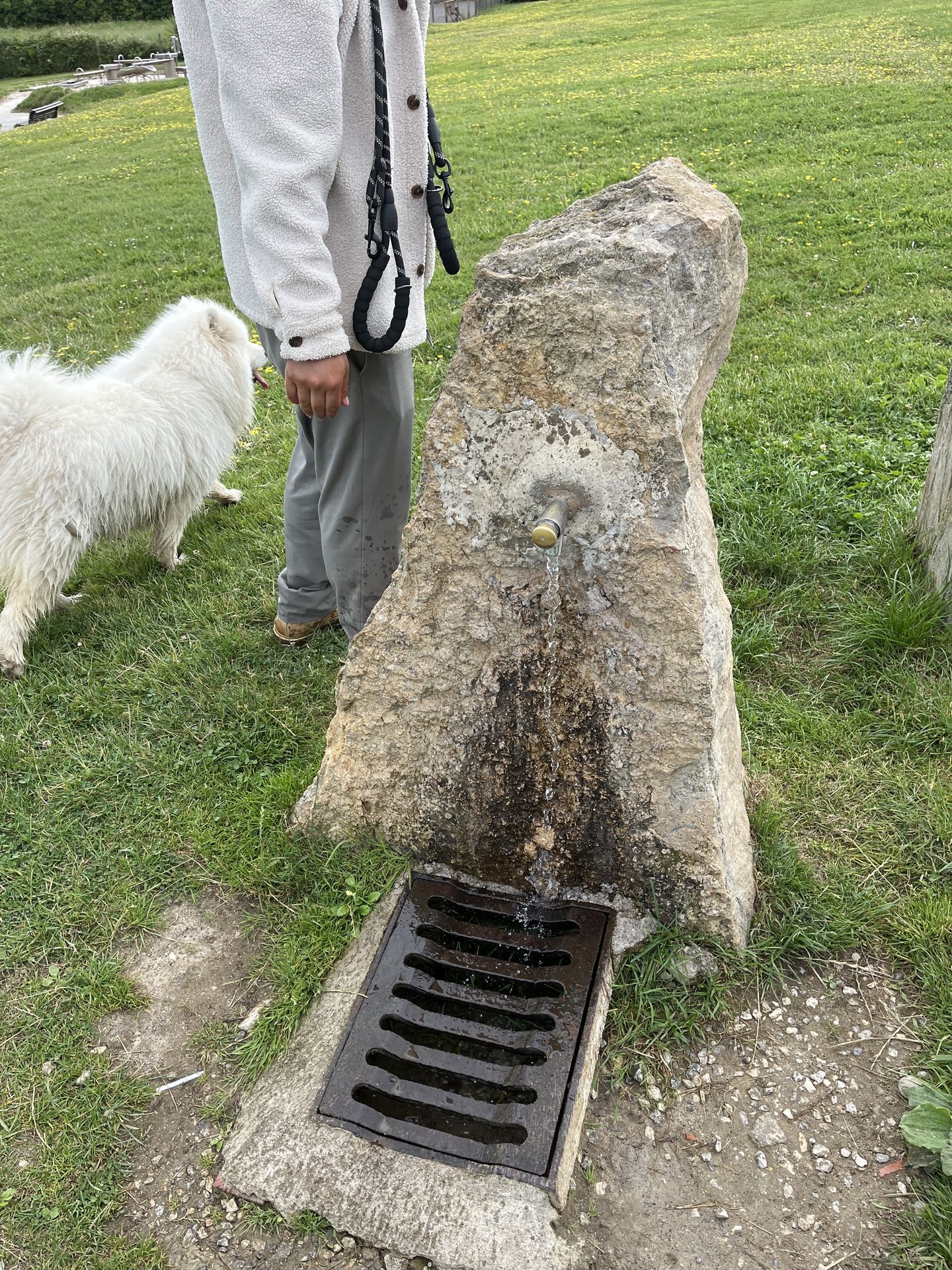 Foto de Fuente de agua en Friendog