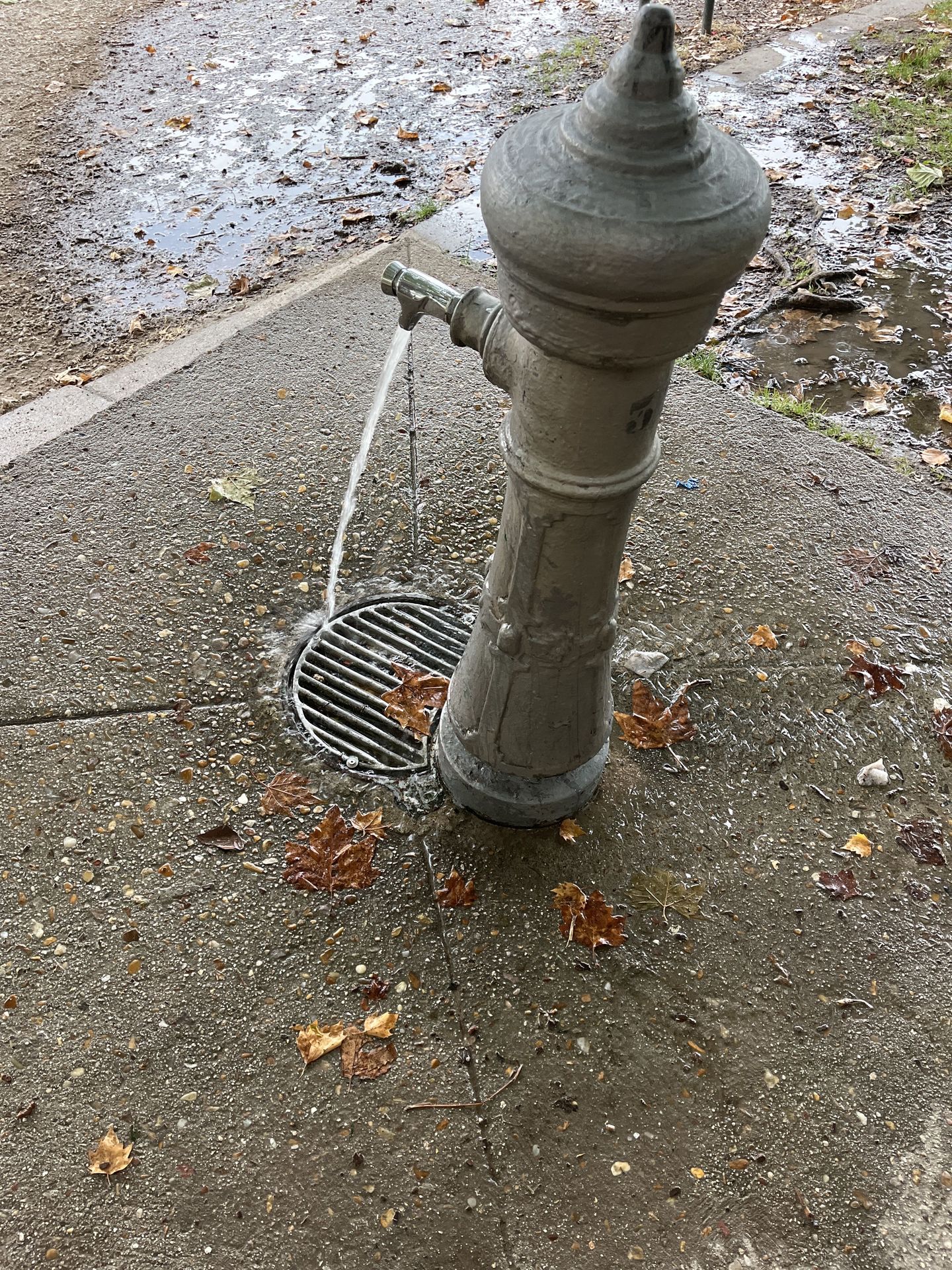 Foto de Fuente de agua en Friendog
