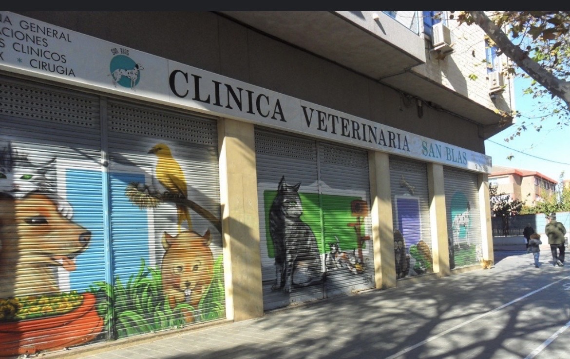 Foto de Veterinarios en Friendog