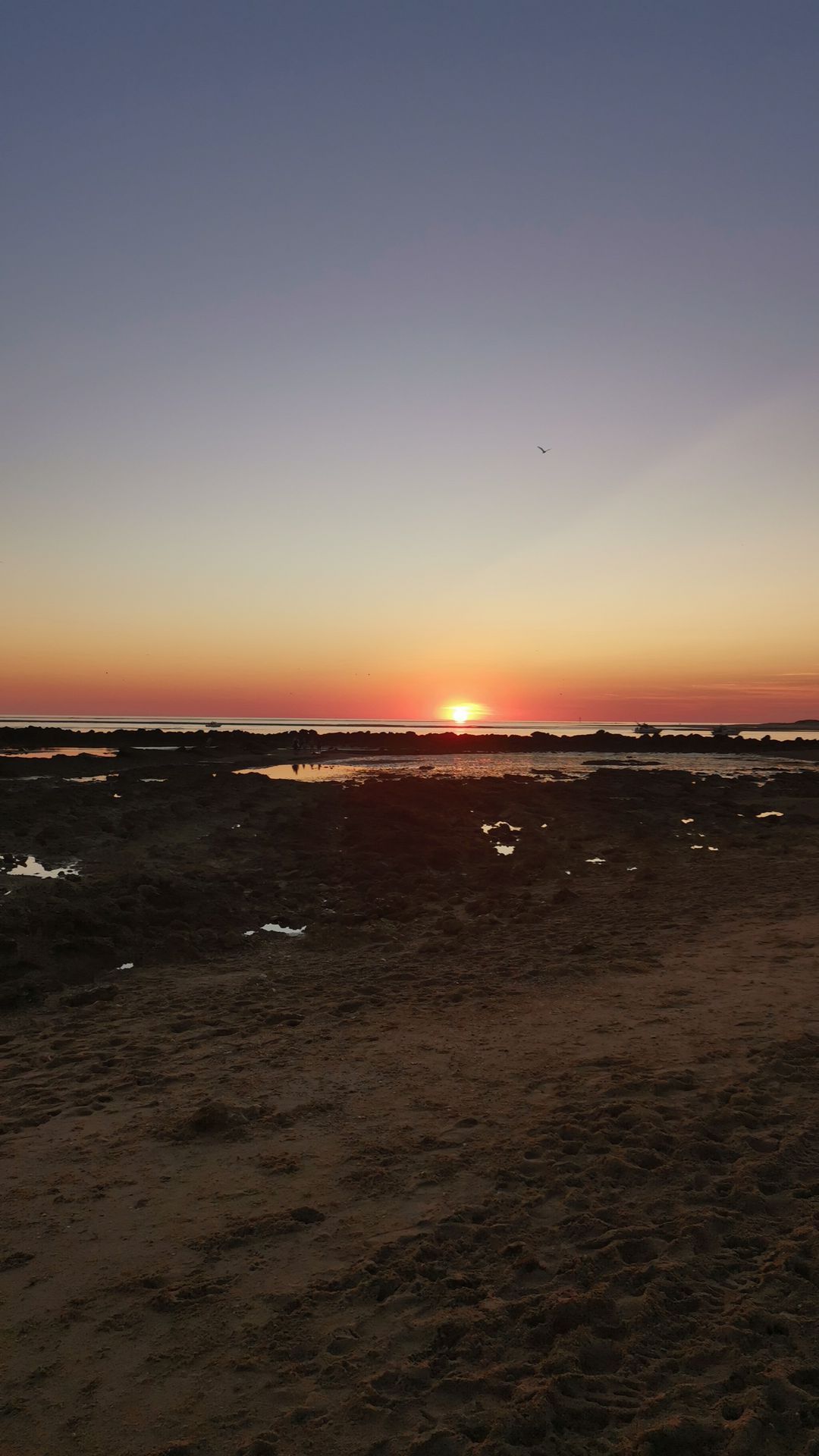 Foto de Playas en Friendog