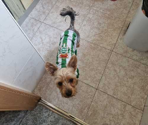Foto de Otros. en Friendog