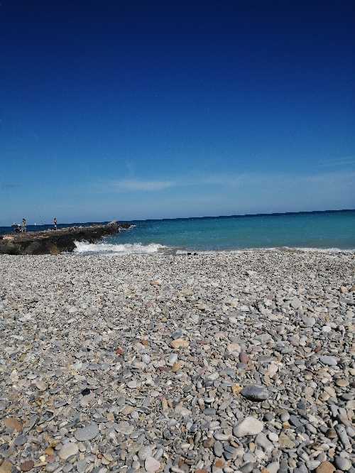 Foto de Playas en Friendog