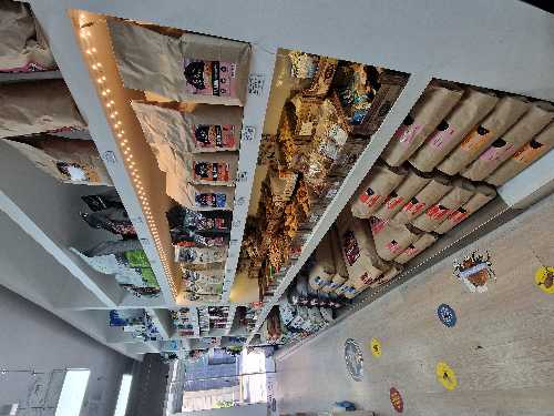 Foto de Tienda de perros en Friendog