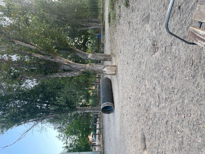 Foto de Parques en Friendog