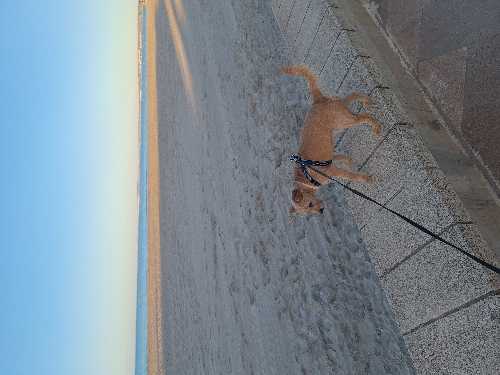 Foto de Rutas en Friendog
