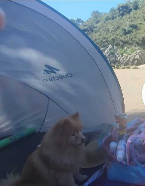Foto de Playas en Friendog