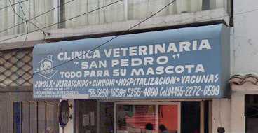 Foto de Veterinarios en Friendog
