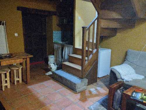Foto de Hoteles dog-friendly en Friendog