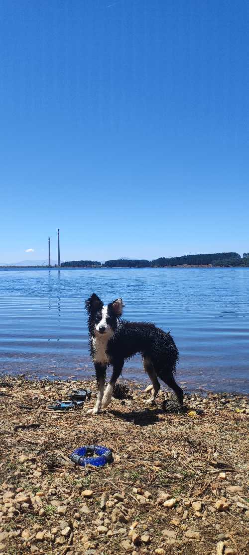 Foto de Playas en Friendog