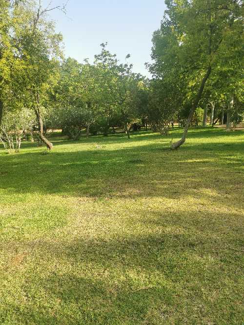 Foto de Parques en Friendog
