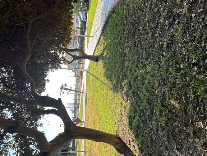 Foto de Parques en Friendog