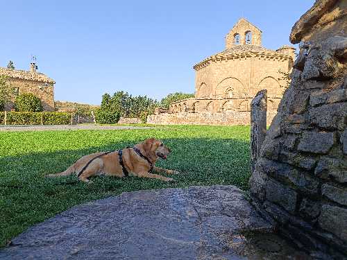 Foto de Fuente de agua en Friendog