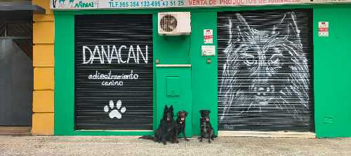 Foto de Otros. en Friendog