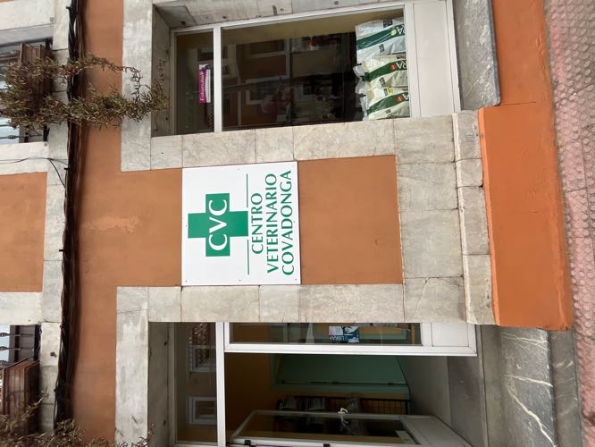 Foto de Veterinarios en Friendog