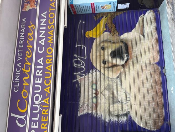 Foto de Peluquerías en Friendog