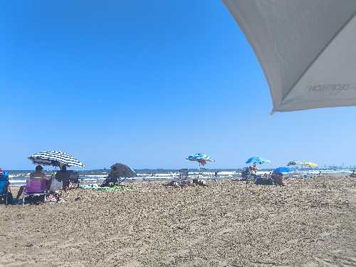 Foto de Playas en Friendog