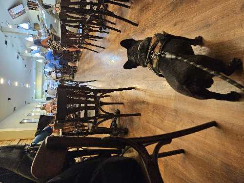 Foto de Cafetería en Friendog
